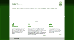 Desktop Screenshot of miceconsulting.com